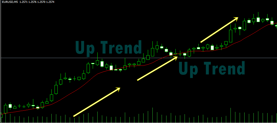 Tips Memahami dan Menentukan Indikator Trading